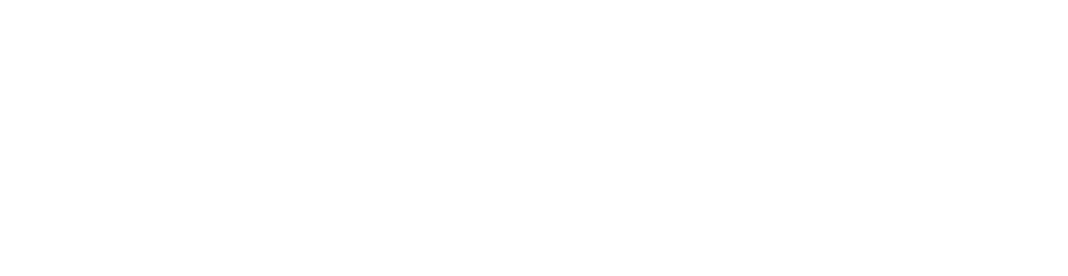 WIT Academy