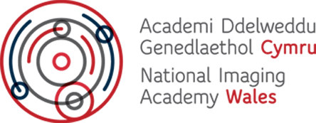 National Imaging Academy Wales