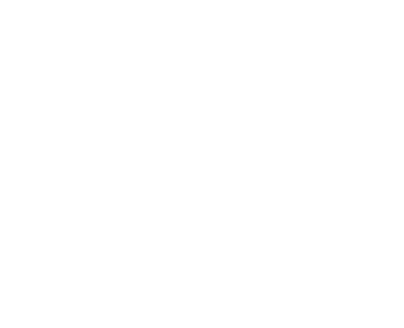 Regent European University (REU)